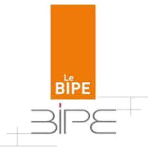 Bipe logo2